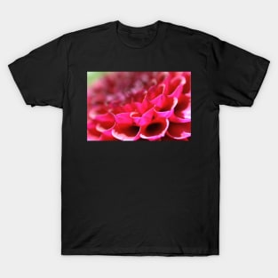 Dahlia Delicacy T-Shirt